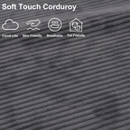 Close-up of gray plush corduroy fabric with a soft, breathable, skin-friendly and pet-friendly texture.