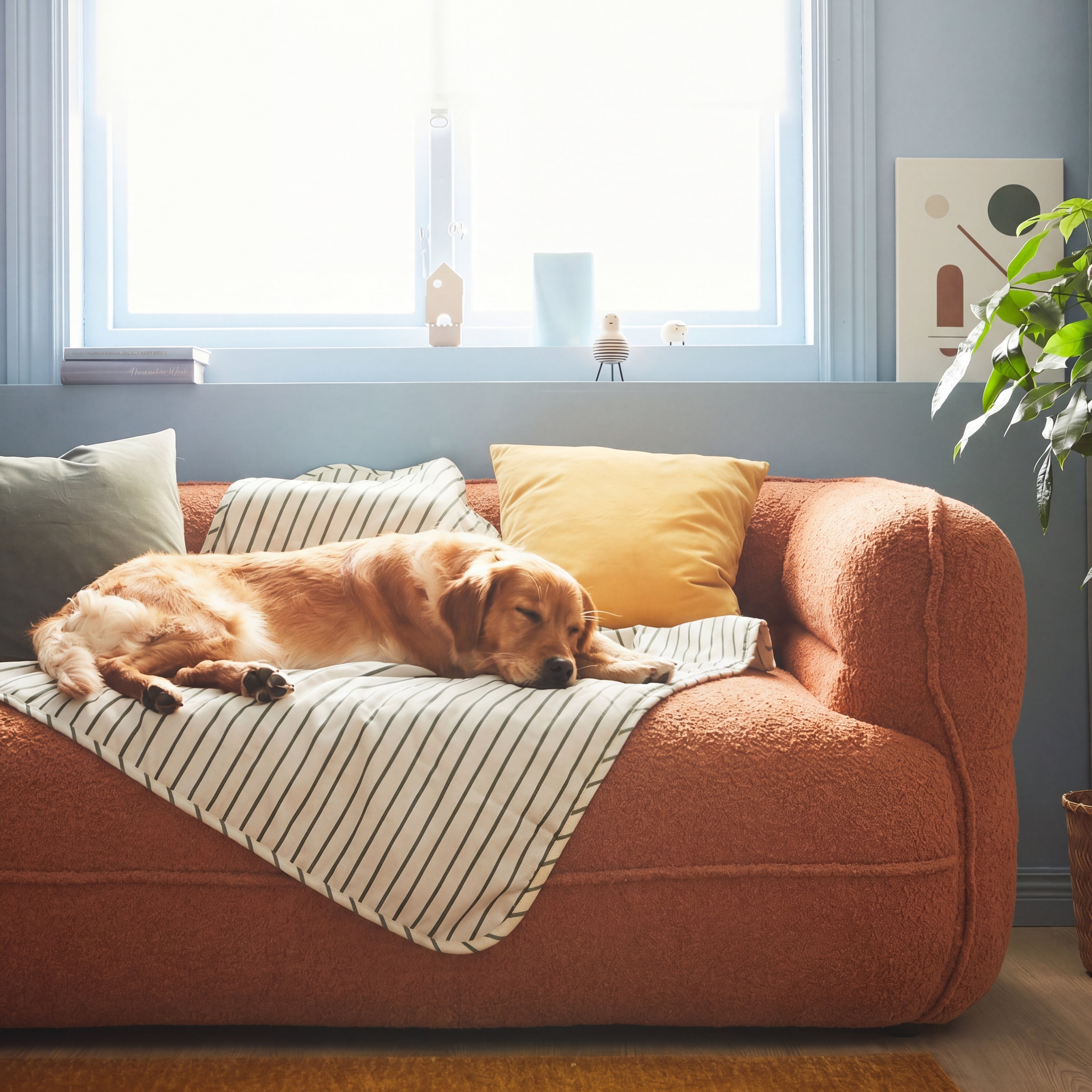 Noma Curved Lounge Loveseat in Tangerine styled for relaxed pet-friendly lounging